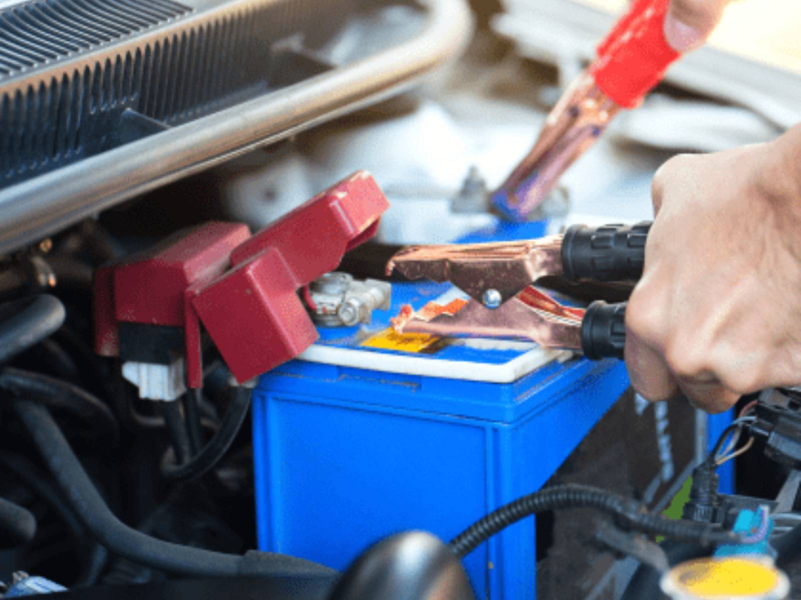 Repuestos Automotrices